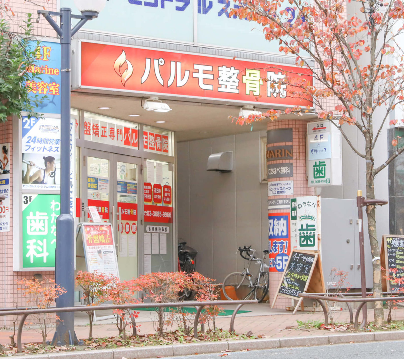 江戸川区平井駅徒歩1分 平井の整骨院なら パルモ整骨院